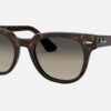 RAY BAN METEOR 2168