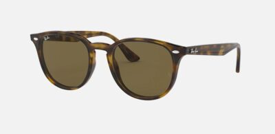 RAY BAN ROUND 4259