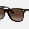 RAY BAN WAYFARER BLAZE 4440N