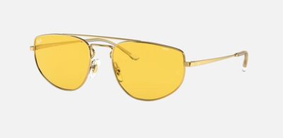 RAY BAN 3668 EVOLVE