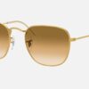 RAY BAN FRANK LEGEND 3857