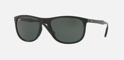 RAY BAN 4291