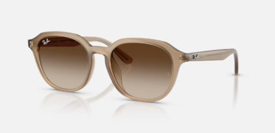 RAY BAN HIGHSTREET 4459D