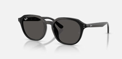 RAY BAN HIGHSTREET 4459D